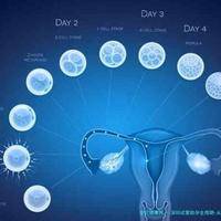 深圳试管助孕全周期-从降调到验孕,详解糖类抗原125、泌乳素检查意义!