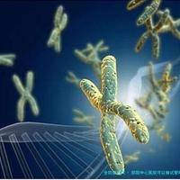 下一篇