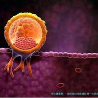 湖南省妇幼保健院做一次试管 试管婴儿多少钱？费用贵不贵？