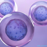 厦门妇幼保健院精子试管婴儿过程详解：步骤参考