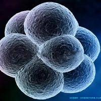 如何提高精子的质量_怎么提高精子质量_试管文章