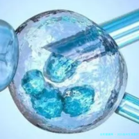 2025加州生育医疗中心雪藏卵价格大概多少？