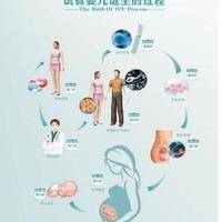 〖卵巢早衰在福州助孕希望大吗？微刺激方案全流程解析!〗