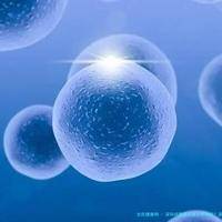 深圳试管婴儿成功率如何？深圳哪家私立试管中心费用合理？