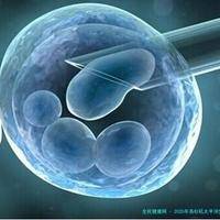 2025年洛杉矶太平洋生殖中心做三代试管婴儿的费用是多少？