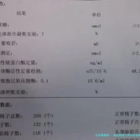 上一篇