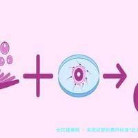 上一篇