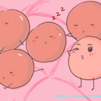 上一篇