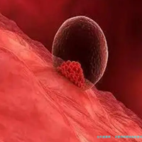 试管排卵期抽血检查项目整理，主查激素六项和排卵情况