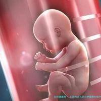 上一篇