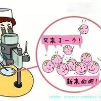 上一篇