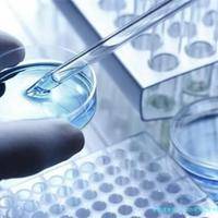 2025年去辽宁中医药大学附属医院做试管婴儿费用大概是多少？