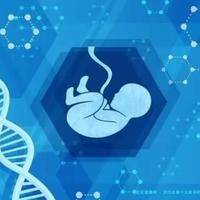 2025长春十大助孕机构榜单揭晓,实力比肩国际水准!