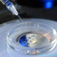 长沙三代试管婴儿成功率高吗?长沙试管婴儿医院有哪些?