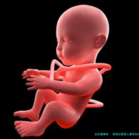 泰国试管婴儿费用如何？曼谷医院选择要注意什么？