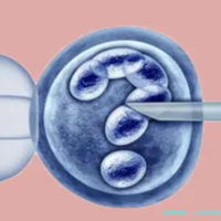 上海试管成功率高的医院都是哪些？