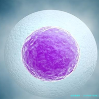 2025年南宁能做三代试管的医院都在做这里了：南宁做试管的医院一览！