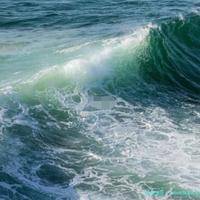 2026年俄罗斯生命线生殖医疗中心做三代试管婴儿一次的费用大概需要多少？