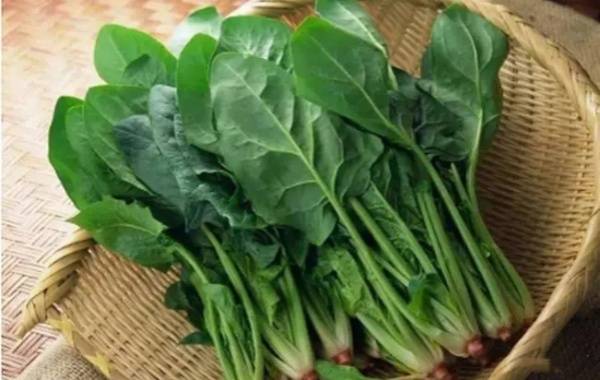 菠菜可以有效地保持血糖相对稳定
