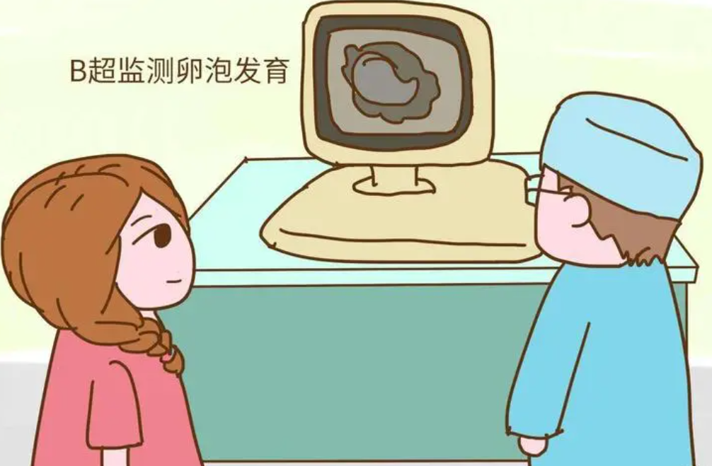 人工授精女性要进行排卵监测