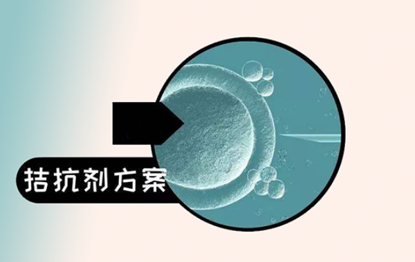 医疗检查费和药物费占比较高