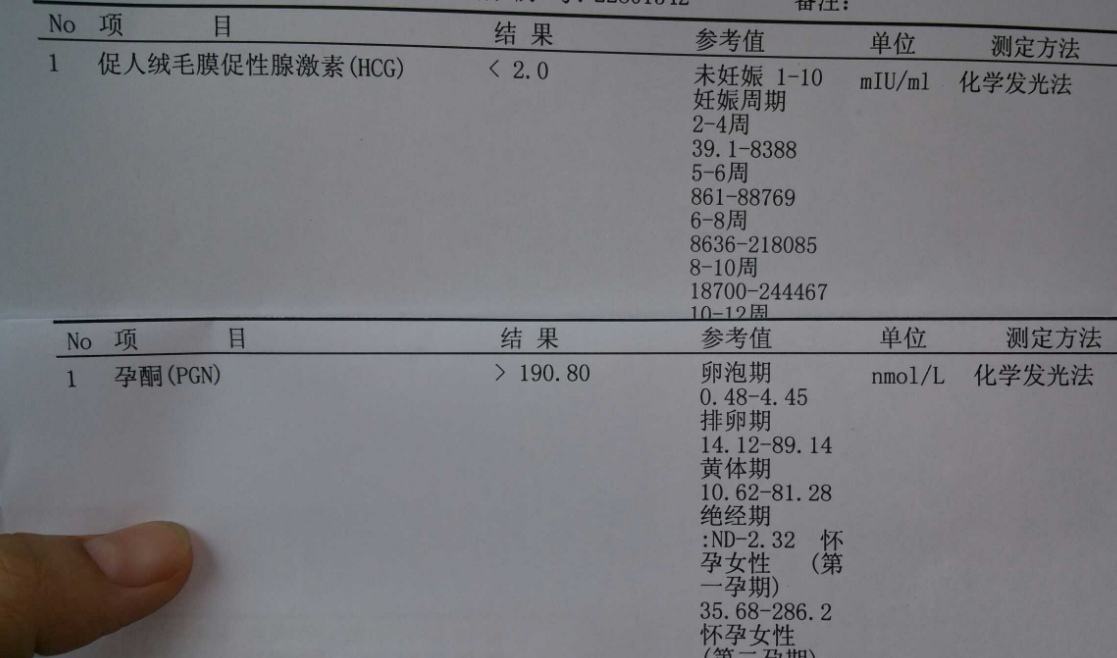 hcg检查报告单