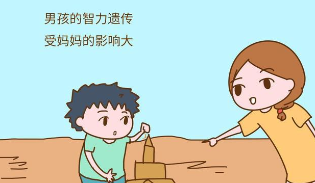 孩子智商的高低不仅仅受遗传的影响