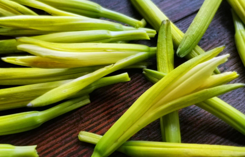 黄花菜催奶很有效果