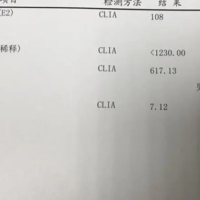 上一篇
