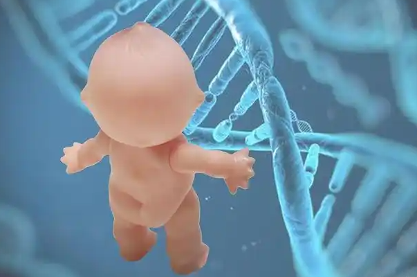 试管助孕概率与自然生育一样