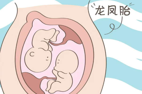 150斤做试管怀龙凤双*胎几率小