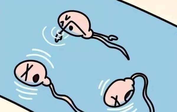 精子成活率只有百分之六能成功做二代试管