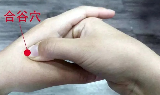 合谷穴有退热的作用