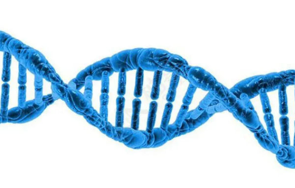 孩子智商100%遗传母亲是真的吗，孩子智商完全遗传母亲吗