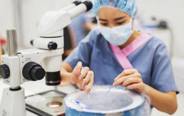 医生会选择质量建议的卵子进行冷冻