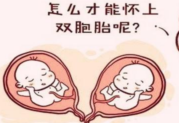 体重会影响试管怀双*胎的成功率
