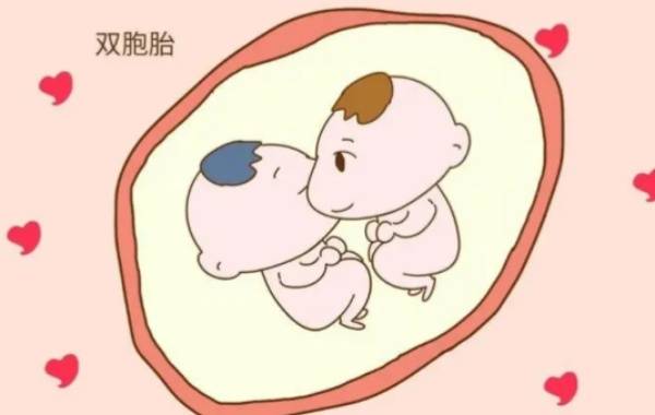 自然怀双*胎是因为福气风水不可信