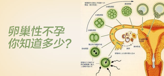 卵巢性不孕的原因有哪些呢？