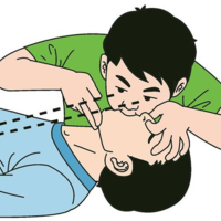 上一篇