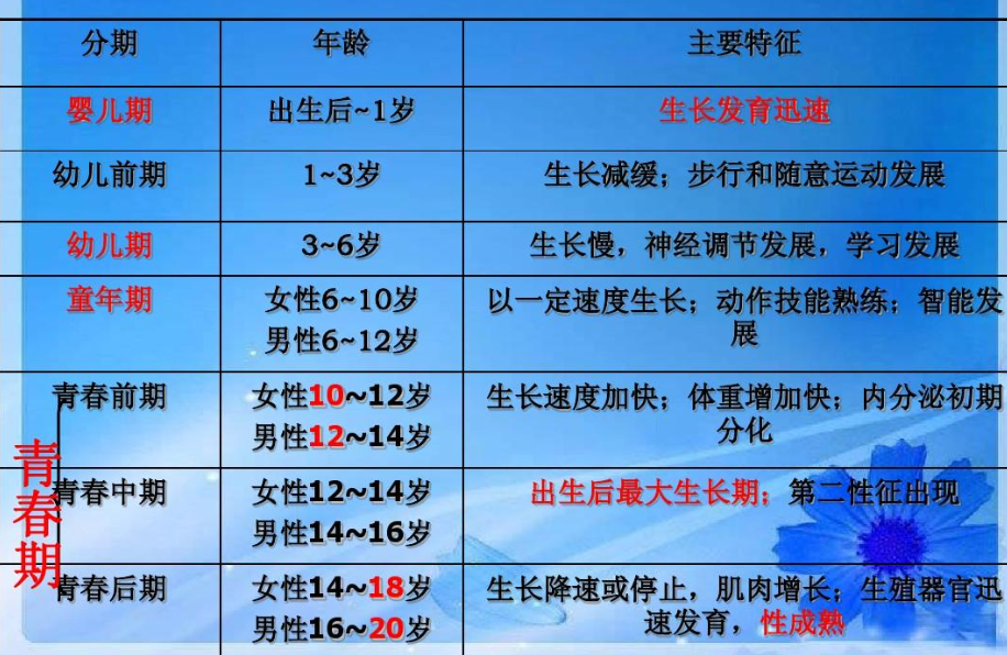 8到12岁的孩子比女孩高
