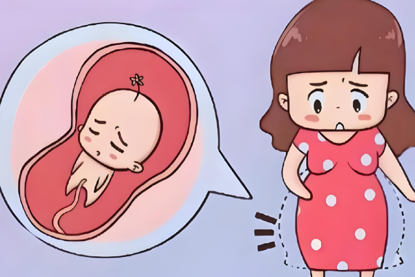 49算法算男女容易翻盘