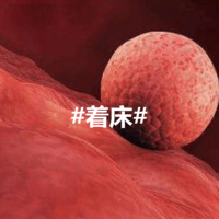 上一篇