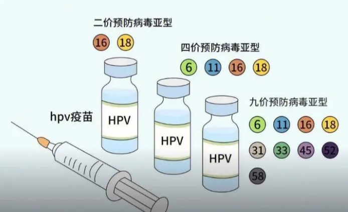 四价疫苗适合20-45周岁的女性打