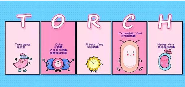 优生五项主要是看igg还是igm，和助孕有关系吗？