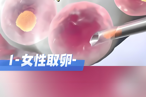 绝经后做试管取卵很艰难