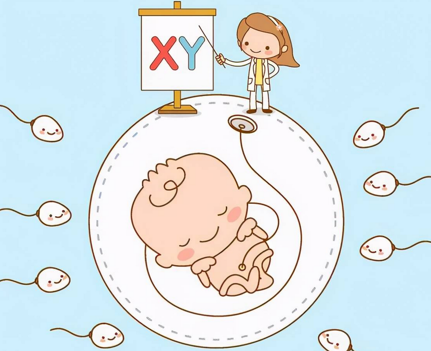 吃碱性食物容易助孕吗？是真的吗？