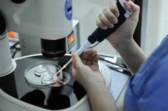 雪藏卵做试管婴儿能否成功？成功率高吗？