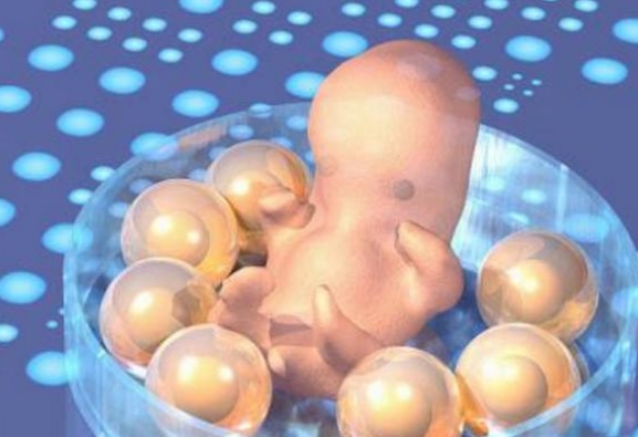 玻璃化冷冻避免了胚胎浪费
