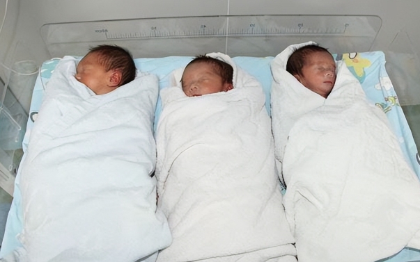 海外试管三胞胎生男孩概率有50%