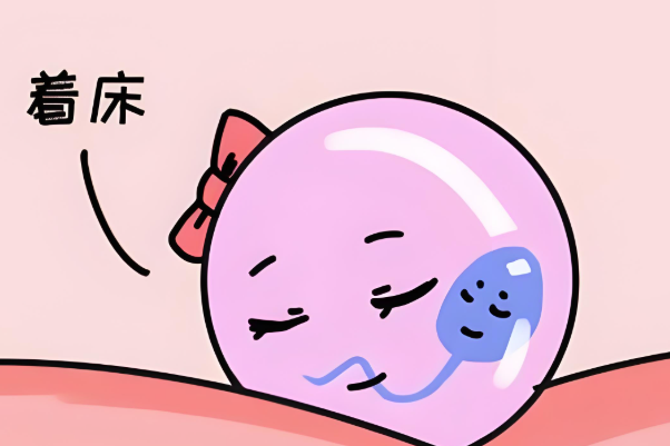 胚胎着床时间存在个体差异